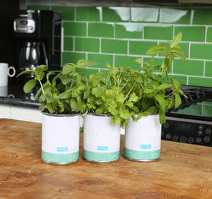 100% Kit de inicio de jardín de hierbas orgánicas para interiores con cilantro de menta de albahaca para cocinar el uso del suelo Regalo perfecto para jardinero - Product Image 2