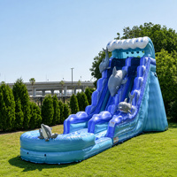 Toboggan aquatique gonflable géant pour adultes, personnalisable, en PVC, écologique, pour l'extérieur, commercial, pas cher, toboggan de jardin
