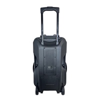 Nouveau modèle de haut-parleur trolley rechargeable haute puissance de 15 pouces pour festival et fête de mariage