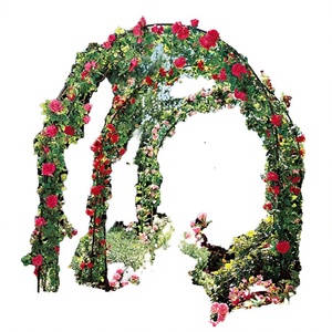 Arco de Jardín Ajustable de Hierro de 78"H x 45"W, Modelo D0100HPYFFU, para Plantas Trepadoras, Cercas y Soporte de Portones - Product Image 2