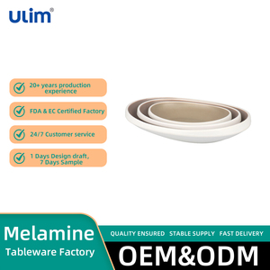 Plato de <span class=keywords><strong>melamina</strong></span> ecológico irrompible con logotipo personalizado, platos para servir en restaurantes, hecho de <span class=keywords><strong>melamina</strong></span> plástica duradera - Product Image 2