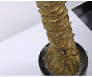 Pohon Palem Buatan Simulasi Tinggi Dekorasi Luar Ruangan Besar Ramah Lingkungan Modern Plastik untuk Wisuda Pernikahan Natal Paskah - Product Image 3