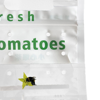 Herbruikbare PET/CPP plastic zakjes met ritssluiting, kleine tomaten, gravure bedrukking, vochtbestendig, opstaand model, aangepaste logo's mogelijk