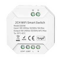 Commutateurs intelligents 16A 2CH Tuya WIFI App Control RoHS CE Smart Home Automation ON/OFF Control