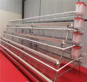 Nieuw Type Laag Kooi Batterij Huis Kippenhok Gebruikt H Vleeskuikens Kraaien Krat Staal 1 Jaar Gevogelte Kip Automatische Kippenkooien - Product Image 5