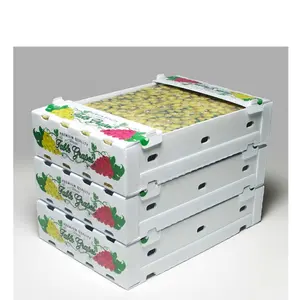 Tươi Nho Giao Thông Vận Chuyển Hộp Mạnh Mẽ PP Hollow Bảng Điều Chỉnh Sóng Nhựa Container Thông gió Trái Cây Vận Chuyển Thùng - Product Image 1