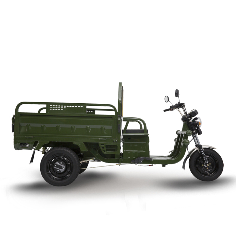 Tricycle Reverse Trike Electric Scooter