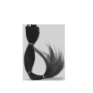 Pelo Natural de vaca y cola de búhos para la fabricación de cepillos, pelo de cola de ganado y cola India sin procesar, al mejor precio - Product Image 2