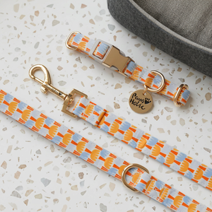 Luxury <b>Dog</b> Leash with Modern Deco Durable Fashionable Comfortable Premium Fashion <b>Collar</b> and Lead for <b>Small</b> <b>Dogs</b> Pet Accessories - Product Image 1