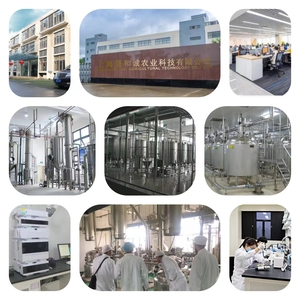 Matière première à prix d'usine ISO, extrait de champignon de cordyceps militaris, Polysaccharides de Cordyceps - Product Image 2