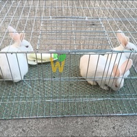 Cage à lapins en métal pour usage agricole, en fil de fer galvanisé, pour l'élevage de lapins, poules pondeuses et canards, pour la cour