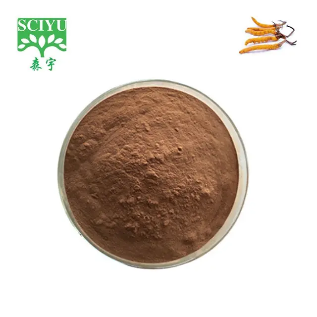 การดูแลสุขภาพ Cordyceps สารสกัดจากผงโพลีแซคคาไรด์10%-50%