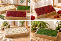 Mousse de renne stabilisée en boîte, mousse éternelle naturelle pour mur végétal, micro-paysage, arrangement floral, décoration artisanale DIY