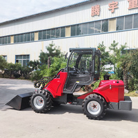 Cina multione DY1150 mini caricatore agricolo pala gommata telescopica articolata