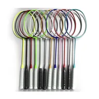 Neuer Stil verschiedene Farben individuelles Logo hochwertige Voll carbon Graphit Badminton schläger Schläger