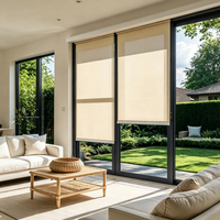 Rideaux électriques double couche sur mesure, stores à double rouleau pour la régulation de la lumière des fenêtres