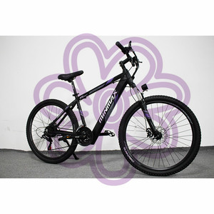 MINMAX Ebike 2021 Bán Chạy Mua Chất Béo Xe Đạp E Xe Đạp 1000W E Xe Đạp 2020 Xe Đạp Điện Thời Trang <span class=keywords><strong>Munro</strong></span> 20 Xe Đạp Điện - Product Image 2