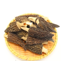 Meilleure vente de champignons secs à tige naturelle fraîche, champignons sauvages Morchella Conica