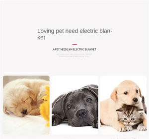Электрическая грелка для домашних животных с автоматическим отключением-30*60 см безопасное нагревательное одеяло для помещений - Product Image 4