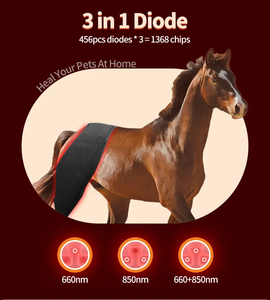 Tapis de luminothérapie équine à 3 modes avec fonction pulsée et minuteur 10/20/30 minutes pour la guérison des tissus profonds - Product Image 5