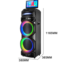 CH-AV2198 Grand haut-parleur avec deux woofers de 12 pouces et écran professionnel de 15,4 pouces, modèle privé pour karaoké, 8 modes d'éclairage au choix