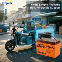 Nouvelle technologie LiFePO4, batterie électrique 12V200AH pour tricycle, charge équilibrée, poids léger, pour scooter pour personnes handicapées, RoHS CE