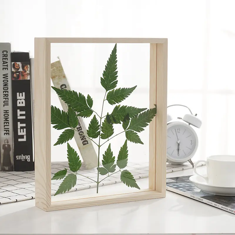 6 inch New floating transparent double side glass acrylic specimen shadow box photo frame for decorations