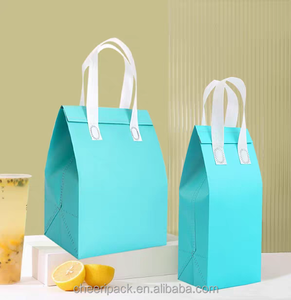 Bolsa Térmica Personalizada con Logotipo, de Tela No Tejida, con Cierre de Cremallera, para Empresas de Entrega de Comida - Product Image 2