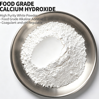 Poudre d'hydroxyde de calcium de qualité alimentaire E526, régulateur d'acidité, pureté 99 %, sac de 25 kg pour la production de tofu et de tortillas de maïs