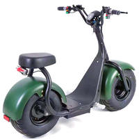 Skuter Listrik Performa Tinggi 2025 Citycoco Ban Lebar Citycoco Skuter Listrik Dewasa 1000w Model NLX M1 48V