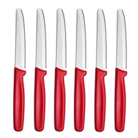 Vente en gros 6pc Set Western Steak Pain Dentelé Toast Couteau En Acier Utilitaire Chef PP Poignée pour Restaurant Hôtel Utilisation JYTD0186