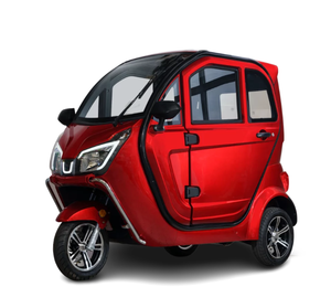 Fabrika doğrudan elektrikli kabin Moped güvenlik EEC sertifikası ile üç tekerlekli motosiklet kapalı vücut elektrikli üç tekerlekli bisiklet - Product Image 1