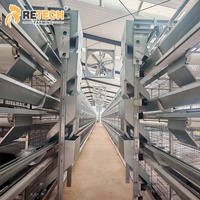 Système d'élevage automatique en batterie de cages de type H pour poules pondeuses – Équipement agricole à vendre