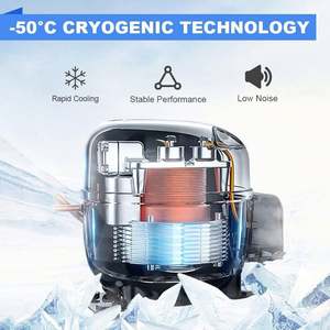 Máquina de Secado por Congelación Eléctrica de Gran Capacidad de 20 KG para Uso Doméstico, Alimentos y Frutas Deshidratadas con Bomba de Vacío, para Uso Agrícola - Product Image 4