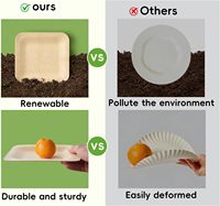 Ensemble d'assiettes jetables écologiques en bambou carrées personnalisées, biodégradables, de 4 à 10 pouces, pour mariage et fête