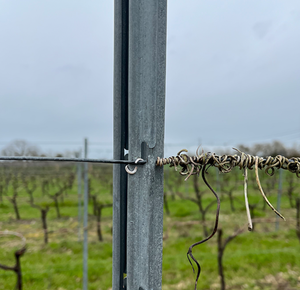 سياج معدني إيطالي لدعم العنب بارتفاع 2.4 متر، صديق للبيئة، مصنوع من الحديد المجلفن الثقيل 5 ملم، سهل التركيب ومقاوم للماء - Product Image 2