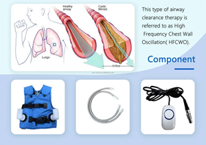 Chaleco de sistema digital portátil Sistema de limpieza de vías respiratorias <span class=keywords><strong>para</strong></span> enfermedad pulmonar Equipo de <span class=keywords><strong>fisioterapia</strong></span> torácica - Product Image 5