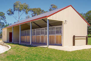 Écurie de cheval moderne en acier pour l'équitation utilisation de ferme pratique conception d'entrepôt de maison d'équitation - Product Image 6