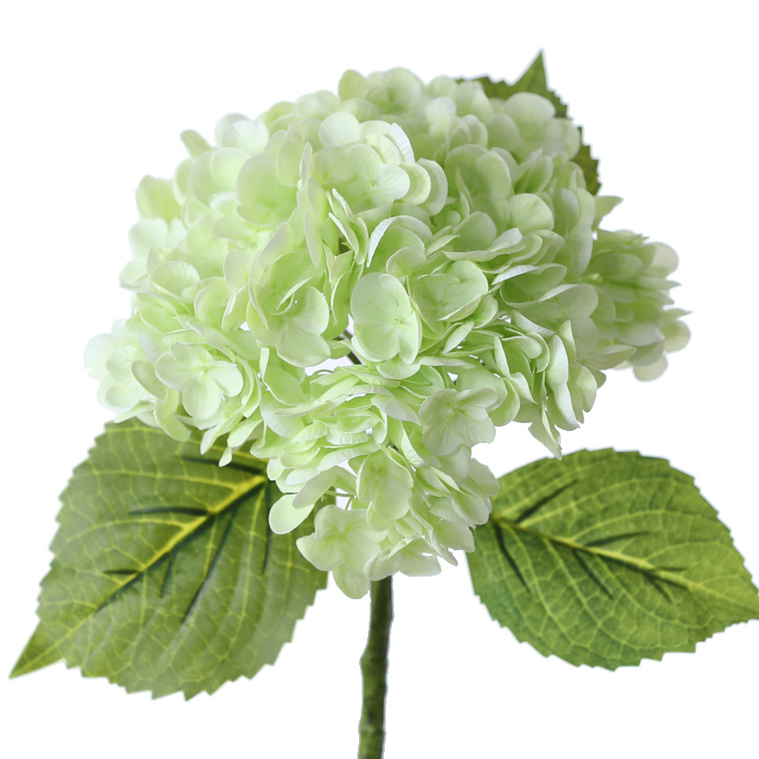 Vert clair