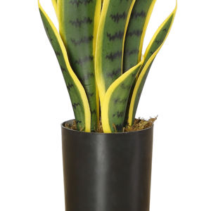 38cm plantas Bonsai artificiales <span class=keywords><strong>serpiente</strong></span> <span class=keywords><strong>planta</strong></span> Sansevieria amarillo Artificial en maceta <span class=keywords><strong>planta</strong></span> <span class=keywords><strong>de</strong></span> decoración del hogar - Product Image 4