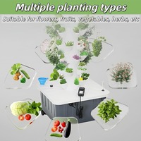 Équipement d'automatisation pour systèmes hydroponiques à 70 trous, système de ferme domestique, équipement hydroponique vertical pour serre, pour laitues et légumes