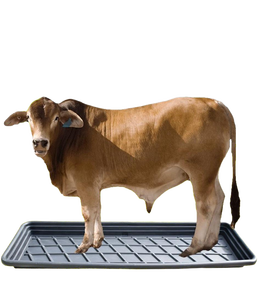 Ergonomische Herbruikbare Plastic Hoefkuip Van Boerderijkwaliteit Voor Grote Dieren-Voor Runderpaarden Kamelen Voetverzorging - Product Image 1