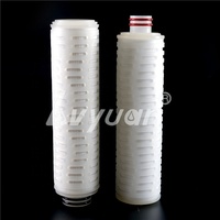Filtre à micropores 0,22 micron Cartouche de membrane PP PTFE Filtres à air avec configuration DOE/222/226/215 pour le traitement de l'eau