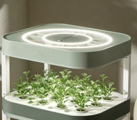 Système de culture aéroponique élégant à 3 niveaux avec lumière LED et pompe pour la culture intérieure d'herbes et de laitues