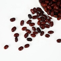 Haricots noires en boîte de 400g, haute qualité, pour nourriture africaine, motorola