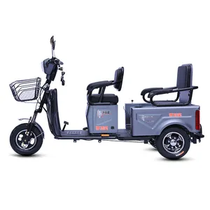 Mini Electric Tricycle with 2 seats Manned/cargo mode for elderly/female/family travel 800W