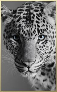 Pintura en lienzo de <span class=keywords><strong>pantera</strong></span> leopardo blanco y negro Animales <span class=keywords><strong>Pantera</strong></span> e impresiones Arte de pared - Product Image 4