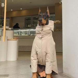 स्टॉक में बड़े कुत्तों के लिए 2025 नई सर्दियों गर्म और मोटी आउटडोर स्पोर्ट्स जैकेट - Product Image 2