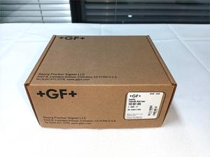 Controlador de Flujo de Canal Único/Control por Lotes Georg 3-9900-1BC, Transmisor PBT-IP65-4-20mA para Aguas Residuales Químicas - Product Image 2