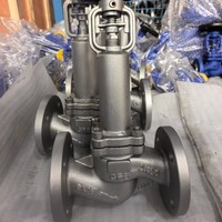 Vanne à soupape en acier inoxydable 316L de classe 800, haute résistance, résistante à la corrosion, pour système de vapeur, commande de débit précise marche/arrêt